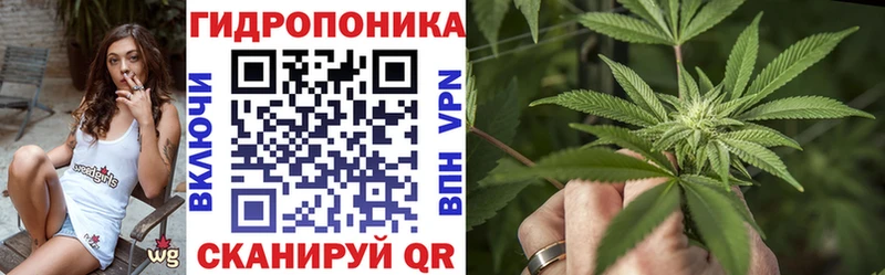 Где можно купить наркотики Богородицк ГАШ  СК  МЕТАДОН  Конопля  МЕФ 