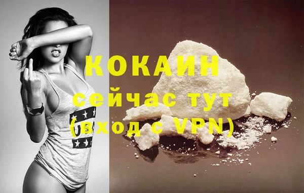 прущие грибы Богородицк