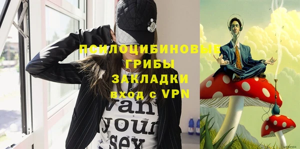 прущие грибы Богородицк