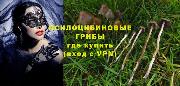соль курить ск Богданович