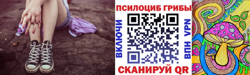 Галлюциногенные грибы Magic Shrooms  даркнет сайт  Богородицк 