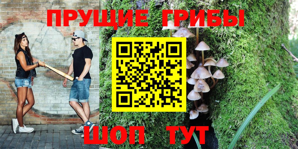 Богородицк  Галлюциногенные грибы Psilocybine cubensis  Галлюциногенные грибы Cubensis  Вход с VPN 
