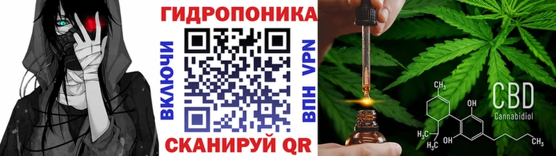 Шишки марихуана сатива  Богородицк 